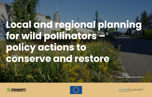 Consultation workshop "Local and regional planning for wild pollinators - policy actions to conserve and restore"