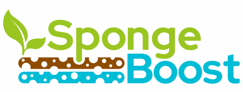 Sponge Booster of the year award