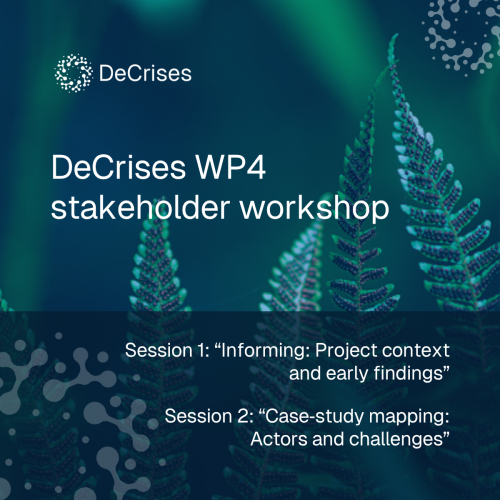 DeCrises WP4 stakeholder workshop